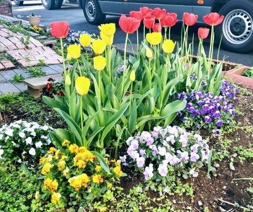 DSC0515̉web.JPG
