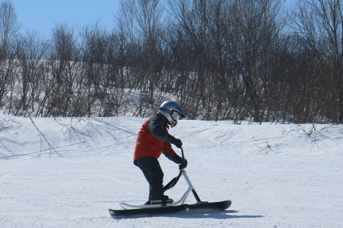 IMG1903yFweb.JPG