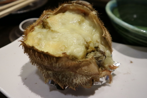 IMG3241Yiweb.JPG