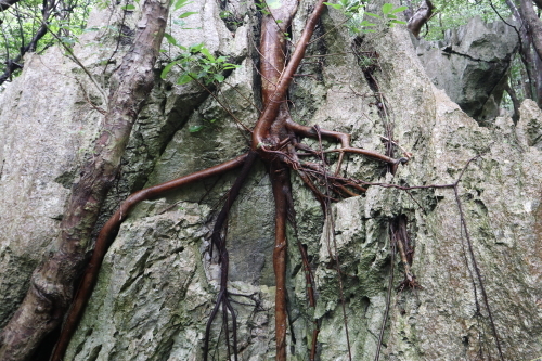 IMG4502ASMUIweb.JPG