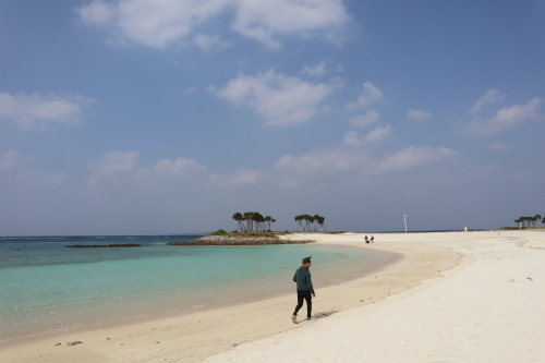 IMG4583Cmweb.JPG