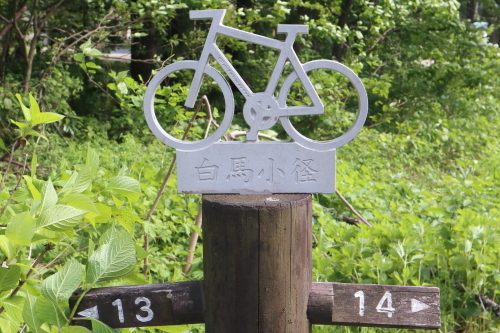 IMG4600コweb.JPG